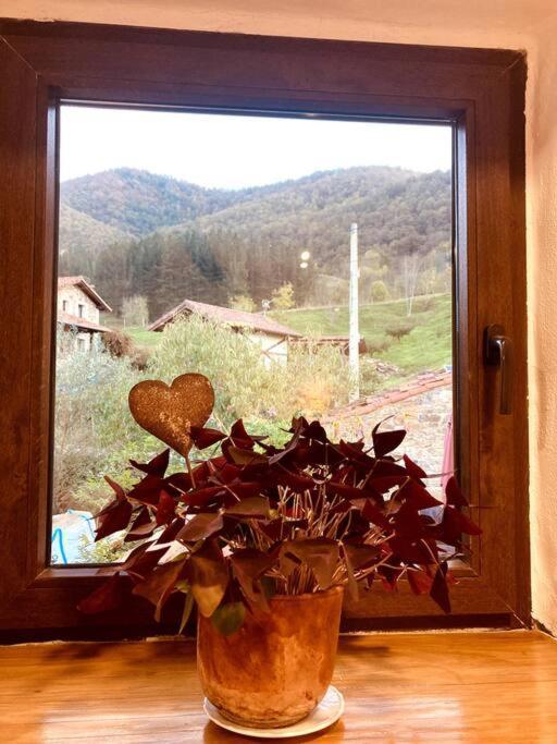 Las Golondrinas Cabezon de Liebana Ngoại thất bức ảnh